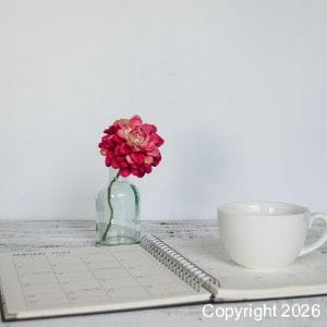 Tax Collector's Office